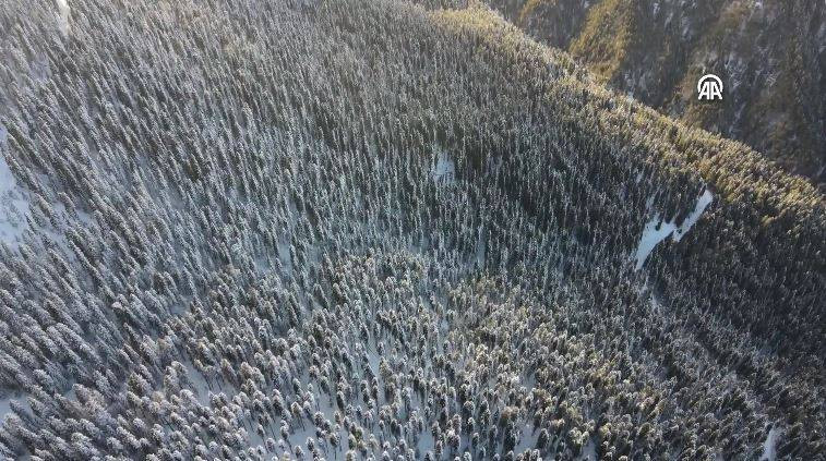 Ilgaz Dağı'nda kartpostallık görüntüler - Resim: 15